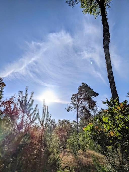 Sfeervol Chaletje In Een Rustige Bosrijke Omgeving Diessen Luaran gambar