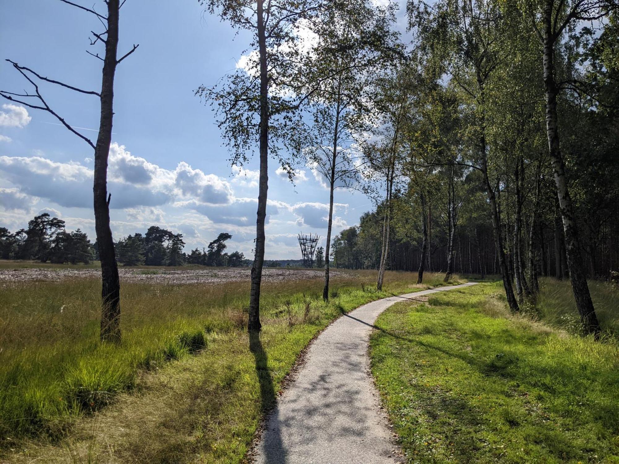 Sfeervol Chaletje In Een Rustige Bosrijke Omgeving Diessen Luaran gambar